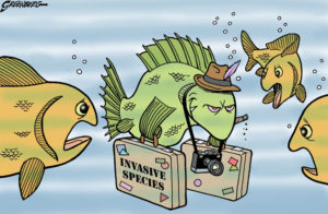 Invasive Species Fish Cartoon